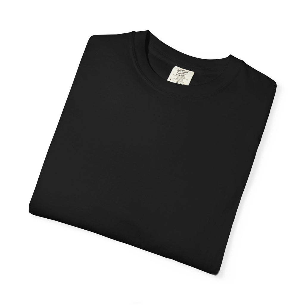 Car graphic tee sphynx